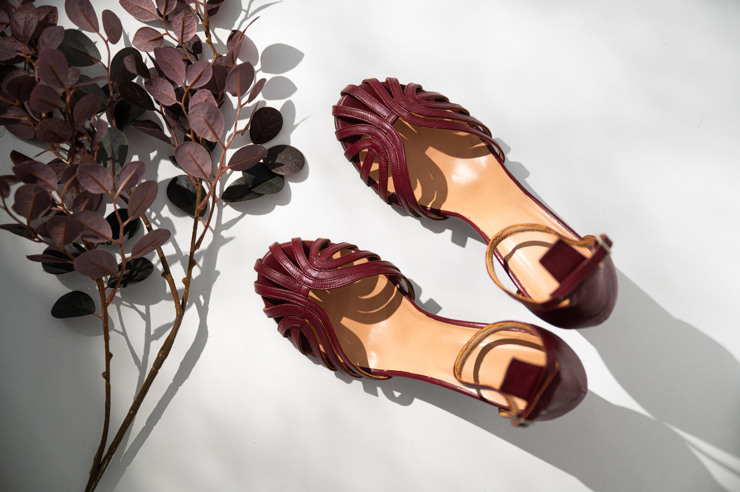 Pair of burgundy mary janes on a light background with a plant.